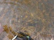 PB020090.JPG
