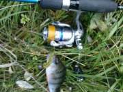 DSC09018.JPG