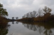 DSC_1604.jpg