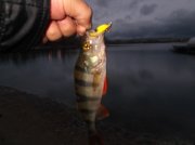 DSCF6172.JPG