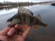 DSCF6173.JPG