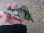 DSCF6174.JPG