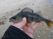 DSCF6175.JPG