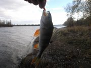 DSCF6176.JPG