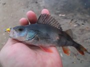 DSCF6181.JPG