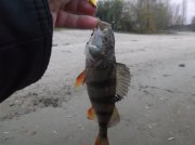 DSCF6183.JPG