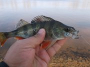 DSCF6188.JPG