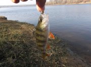 DSCF6190.JPG