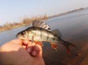 DSCF6191.JPG
