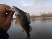 DSCF6193.JPG