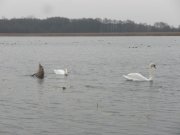 PB020102.JPG