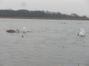 PB020103.JPG