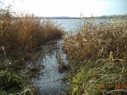 DSC00886.JPG