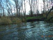 DSC00874.JPG
