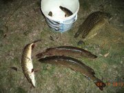 DSC00893.JPG
