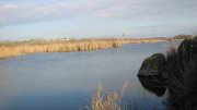 IMG_1856.jpg