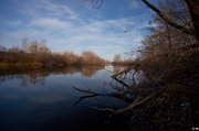 IMG_2717.jpg