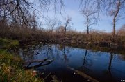 IMG_2719.jpg