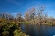 IMG_2747.jpg