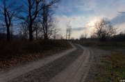 IMG_2763.jpg