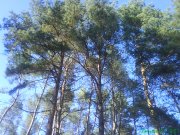 DSC01970.JPG