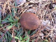 DSC00906.JPG