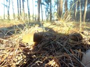 DSC00927.JPG