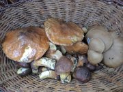 DSC00921.JPG