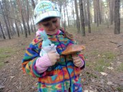 DSC00914.JPG