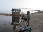 IMG_0478.JPG