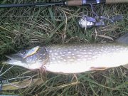 09-11-13_1706.jpg