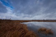 IMG_2772.jpg