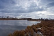 IMG_2774.jpg
