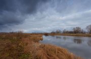 IMG_2799.jpg