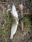IMG_41321.jpg