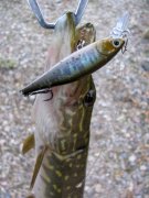 IMG_41381.jpg