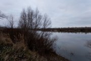 IMG_2847.jpg