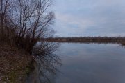IMG_2849.jpg