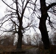 IMG_2832.jpg