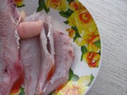 IMG_1573.JPG