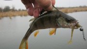 IMG_1884.jpg
