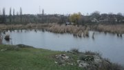 IMG_1885.jpg
