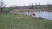 IMG_1886.jpg