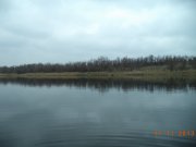 DSC00920.JPG