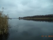 DSC00921.JPG