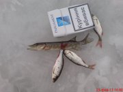 DSC01124.JPG