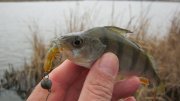 IMG_1888.jpg