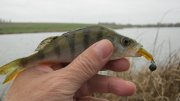 IMG_1887.jpg