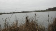 IMG_1890.jpg