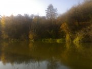 201020133439.jpg